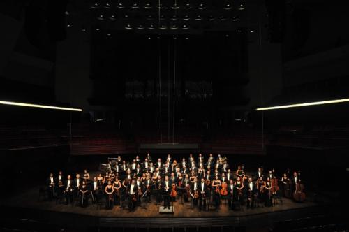 Cumhurbakanl Senfoni Orkestras  Konyallarla Buluuyor    